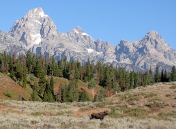 teton vista pottery inspiration photo